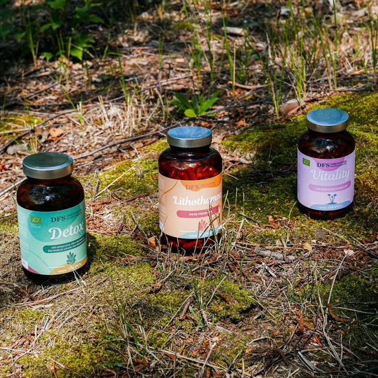 Diet-Food Bio Vitality - a complex of 7 vital mushrooms in capsules