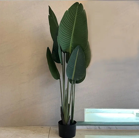 Banaanikasvi tekokasvi