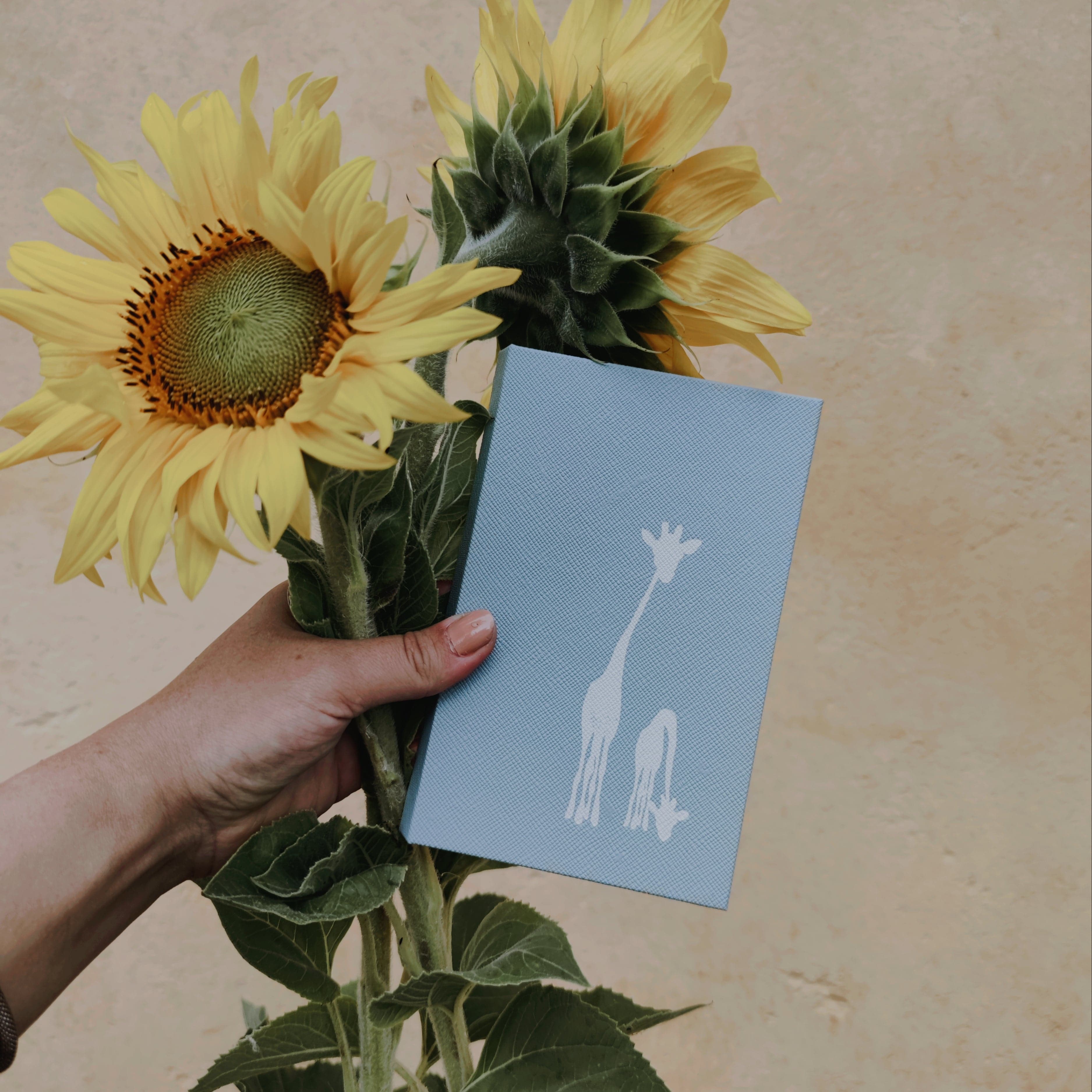 Neuvolakorttikotelo - Kirahvi minttu - LuKLabel