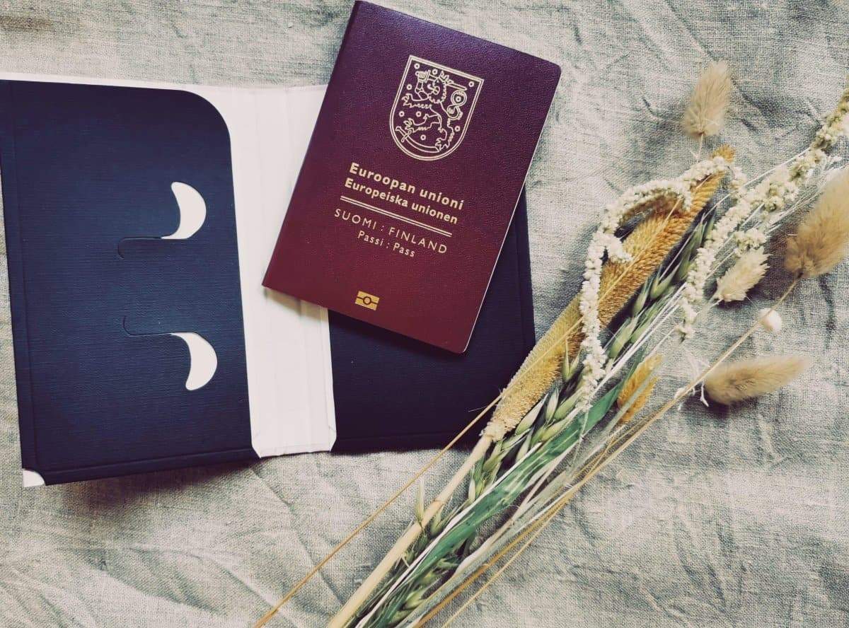 Neuvolakorttikotelo - raccoon - LuKLabel