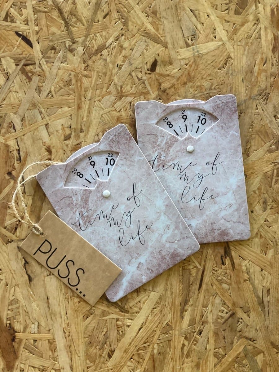 Parkkikiekko 2kpl - LuKLabel